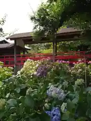 本土寺(千葉県)