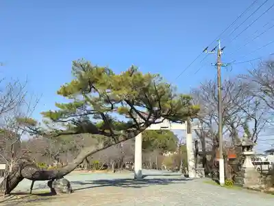 三柱神社(福岡県)