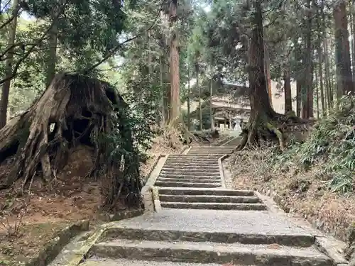 最乗寺（道了尊）(神奈川県)