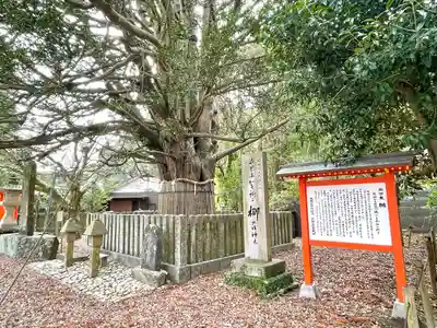 熊野速玉大社(和歌山県)