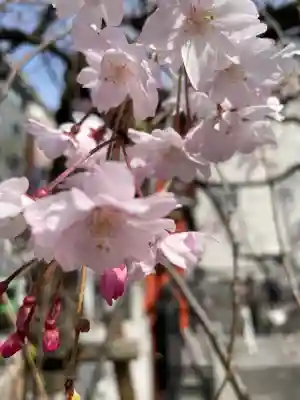 善國寺(東京都)