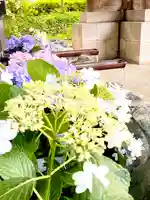 滋賀県護国神社の自然