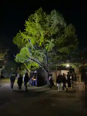 このみ白雲大社(岡山県)