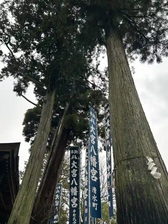 大宮八幡宮(兵庫県)