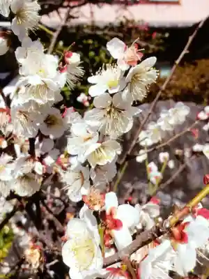 長善寺(東京都)