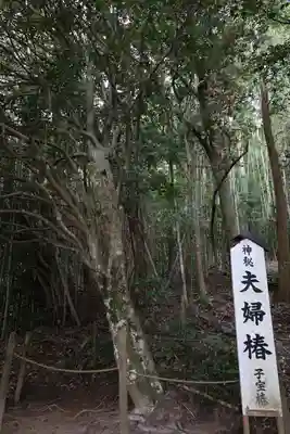 八重垣神社(島根県)