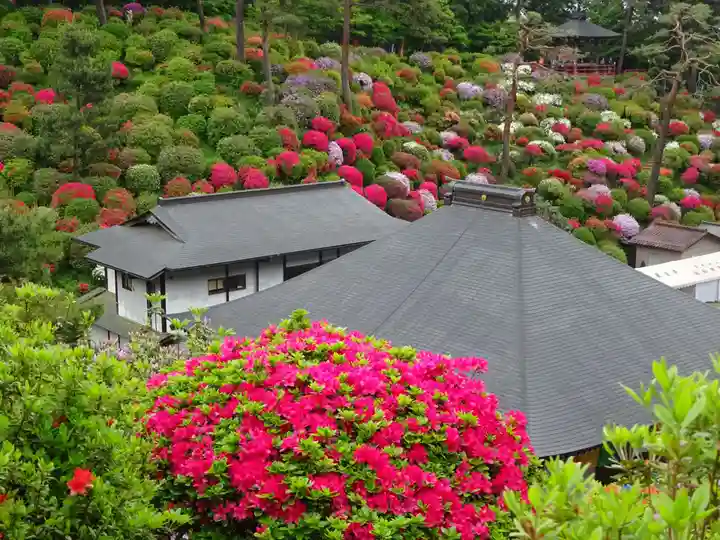 塩船観音寺の自然