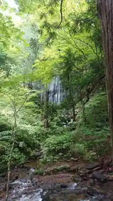 達沢不動滝の周辺