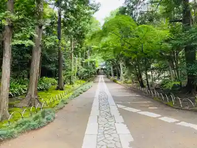 寿福寺(神奈川県)