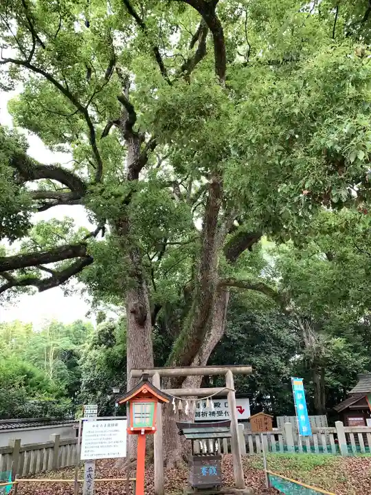 冠纓神社の自然