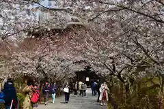 建長寺の周辺