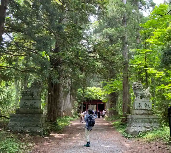 戸隠神社奥社(長野県)