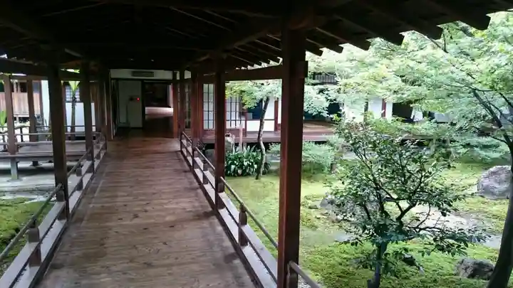 建仁寺(建仁禅寺)の庭園