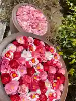 霊鑑寺門跡の手水舎