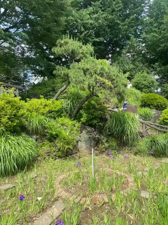 鳩森八幡神社の庭園