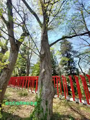 伊佐須美神社(福島県)