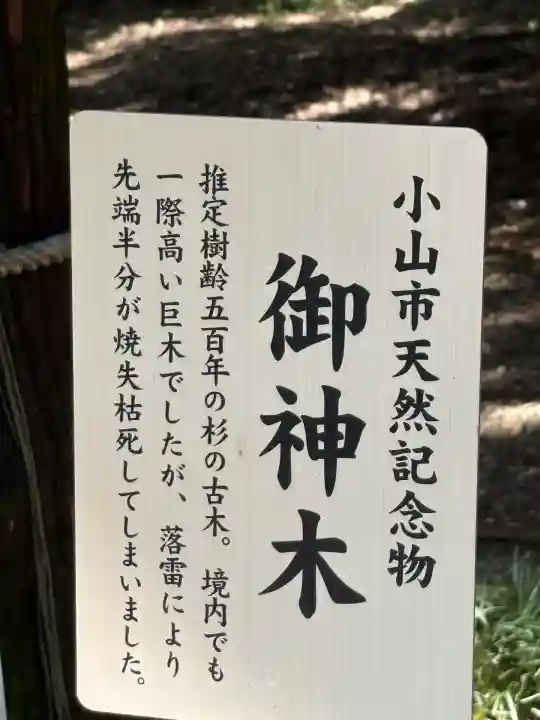 間々田八幡宮(栃木県)