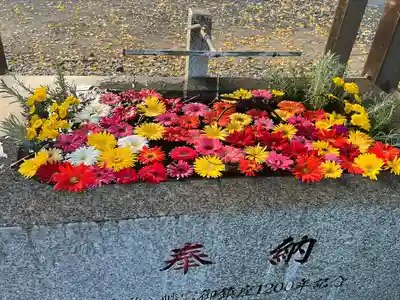 長沼八幡宮(栃木県)