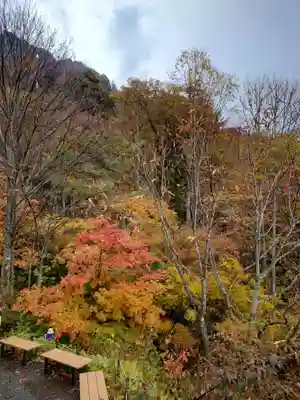 戸隠神社奥社(長野県)