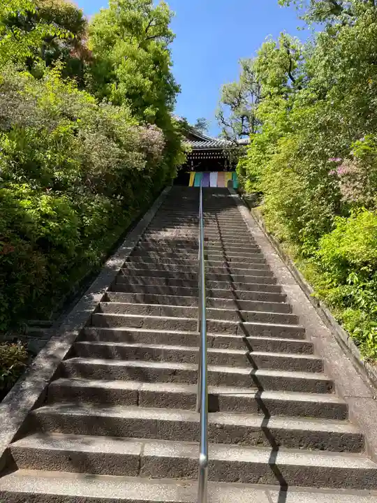 光明寺(粟生光明寺)(京都府)