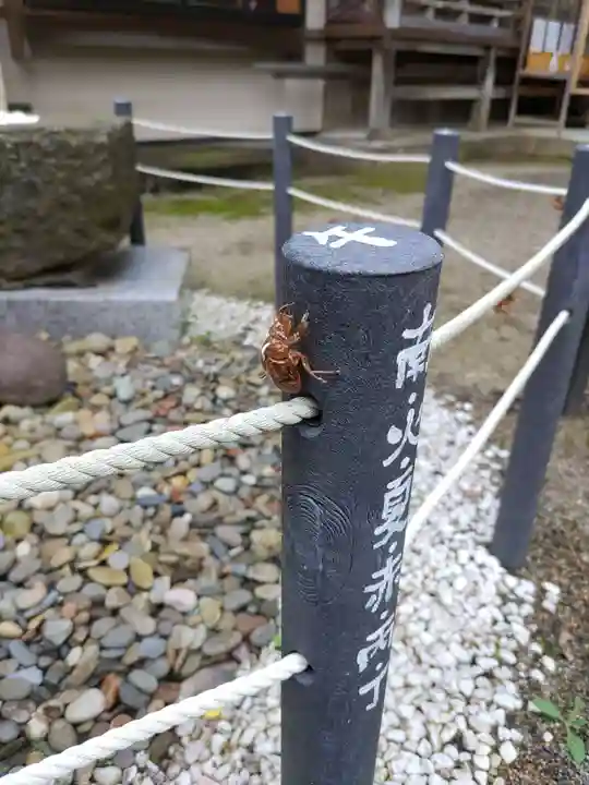 熊野神社(岩手県)