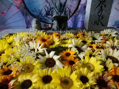 札幌諏訪神社の手水舎