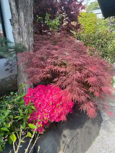 感通寺(東京都)