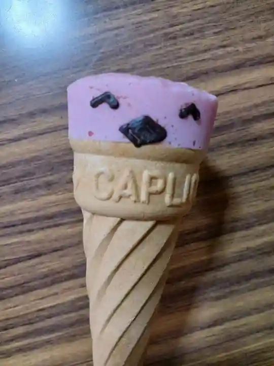 白狐山光星寺(山形県)