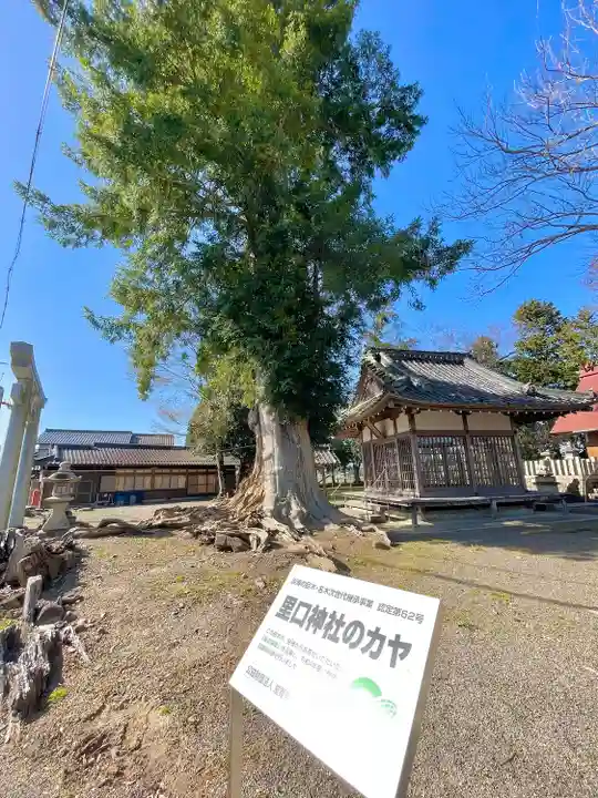 八幡神社(滋賀県)