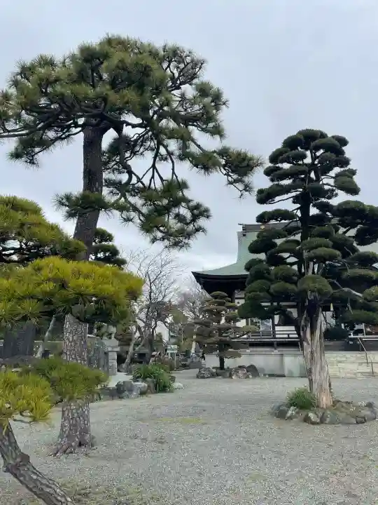 興全寺の{uncategorized: "未分類", other: "その他", undefined: "問題あり", building: "その他建物", grave: "お墓", sacred_gate: "鳥居", guardian: "狛犬", statue: "像", buddha: "仏像", history: "歴史", nature: "自然", garden: "庭園", animal: "動物", pagoda: "塔", temizu: "手水舎", mountain_gate: "山門・神門", sanctuary: "本殿・本堂", subordinate: "末社・摂社", art: "芸術", scenery: "景色", jizo: "地蔵", ema: "絵馬", goshuin: "御朱印", omikuji: "おみくじ", items: "授与品その他", amulet: "お守り", goshuincho: "御朱印帳", eats: "食事", festival: "お祭り", votive_dance: "神楽", shichigosan: "七五三参", wedding: "結婚式", experience: "体験その他", initially: "初詣", around: "周辺", anti_infection: "感染症対策"}
