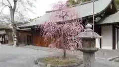 城南宮の建物その他