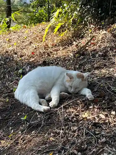 伊豆山神社(静岡県)