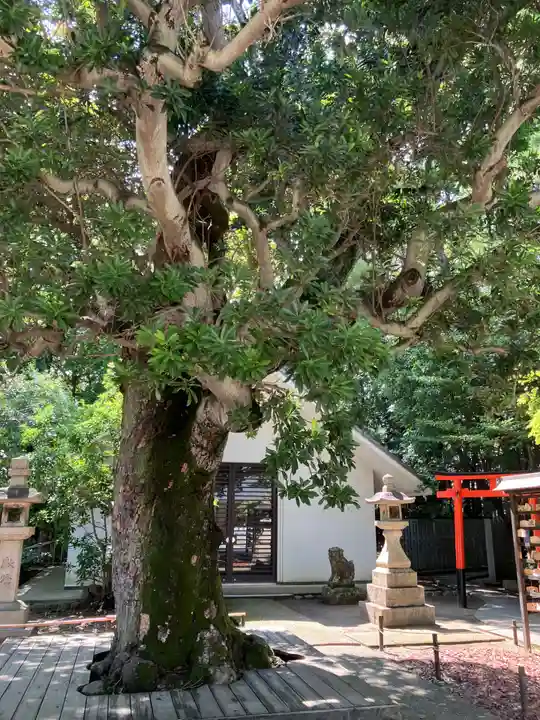 芦屋神社の自然