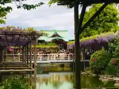 亀戸天神社の庭園