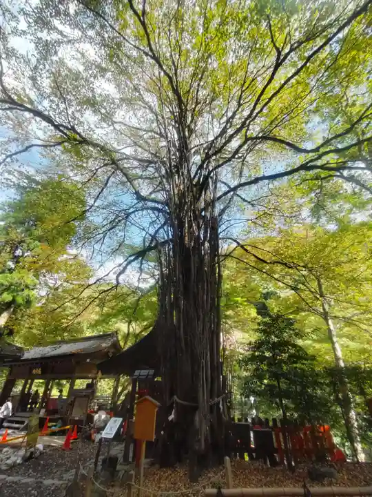 貴船神社(京都府)