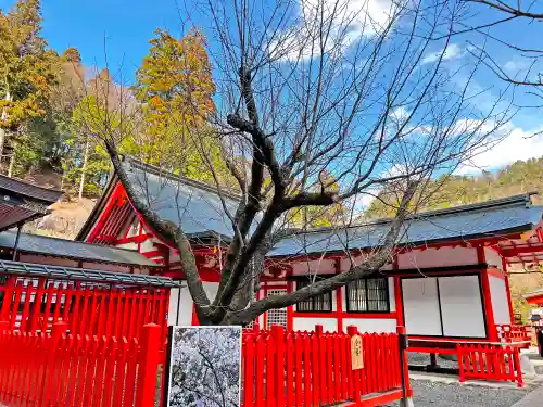 金櫻神社のその他建物