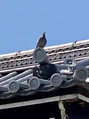 東寺（教王護国寺）のその他建物