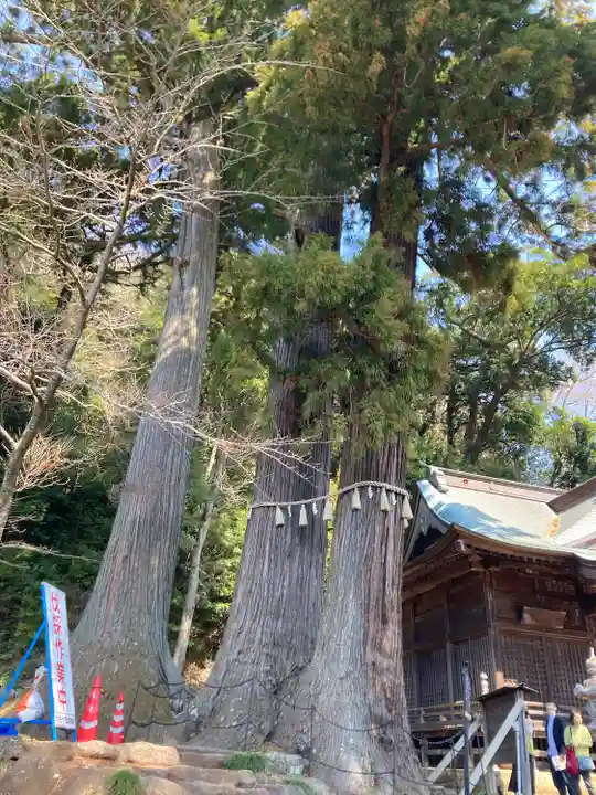 日枝神社(静岡県)