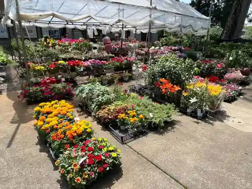 一言主神社(茨城県)