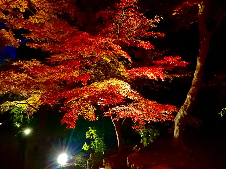 宝満宮竈門神社の自然