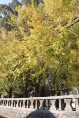 美奈宜神社(福岡県)