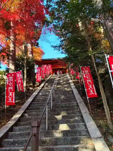 毘沙門堂門跡(京都府)