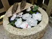 正寿院(京都府)