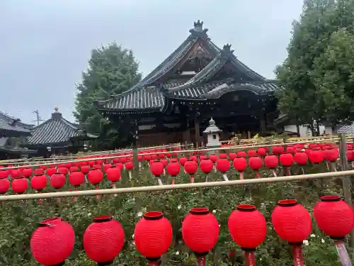 おふさ観音（観音寺）(奈良県)
