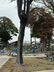 蓮江寺(石川県)