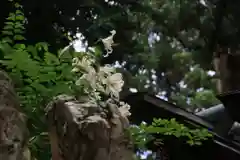 鹿島大神宮の自然