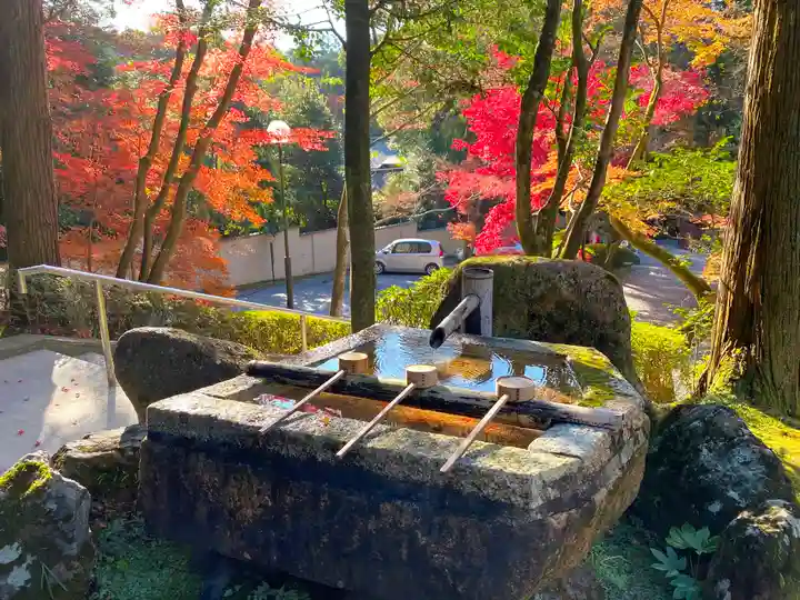 今熊野観音寺の手水舎