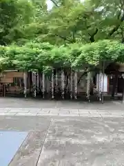 神場山神社の自然