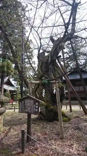 蠶養國神社の建物その他