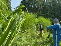 土津神社|こどもと出世の神さま(福島県)